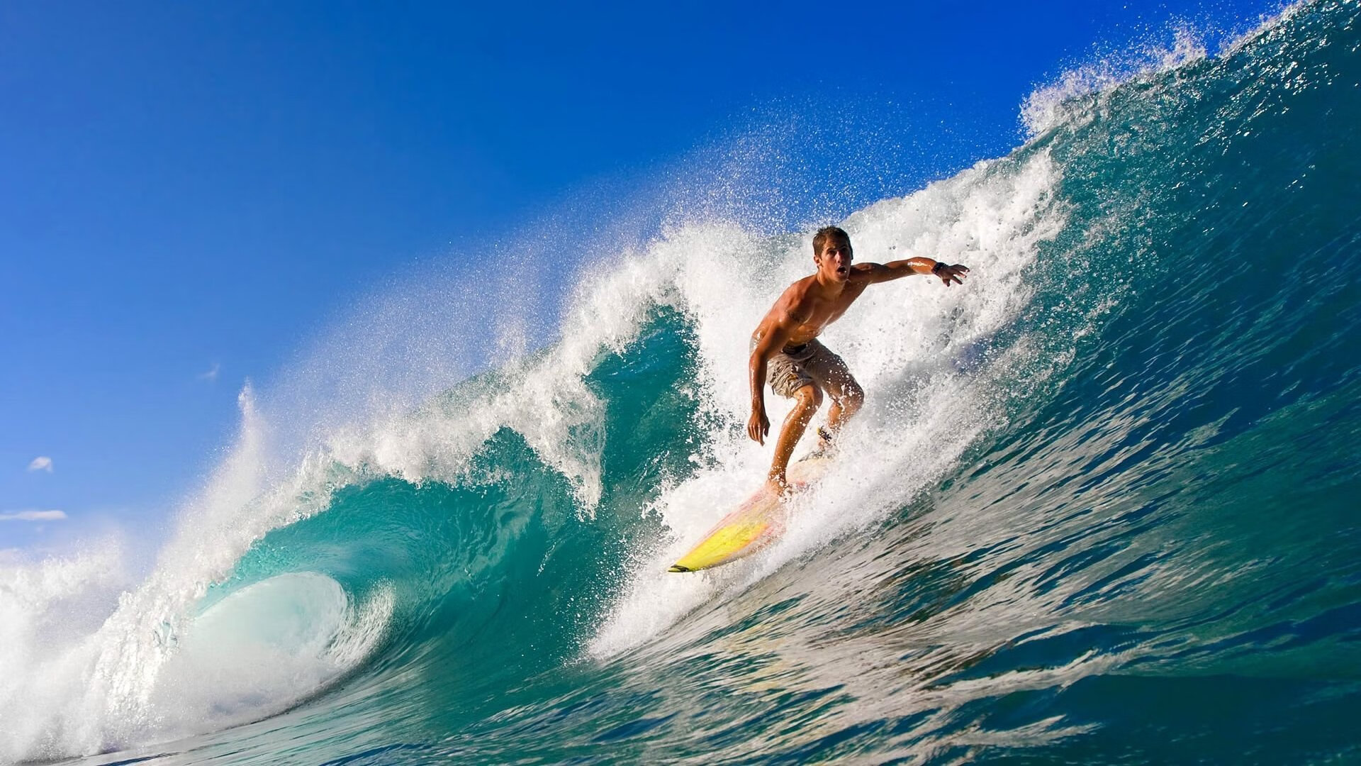 上海海港锋线火力全开，上海海港官方网站