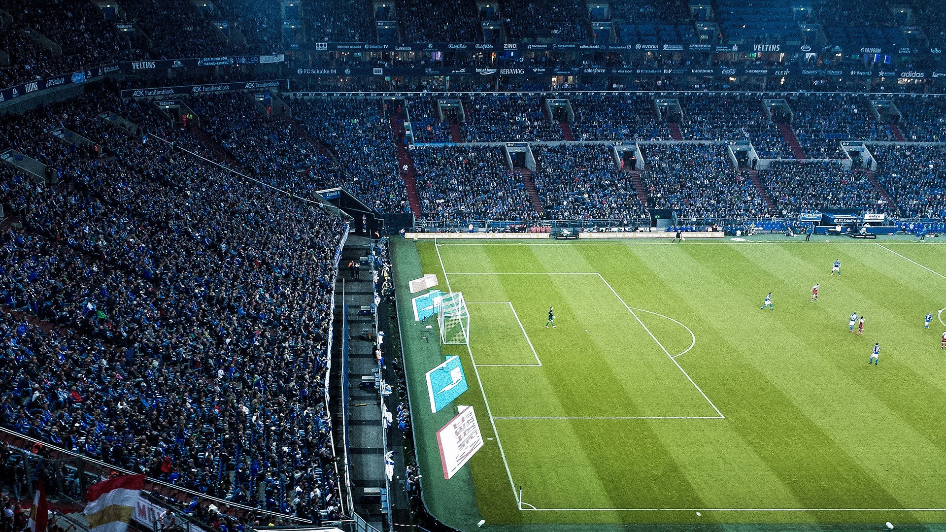 克罗地亚马术协会与学校合作，开展马术教育课程，推广马术文化。